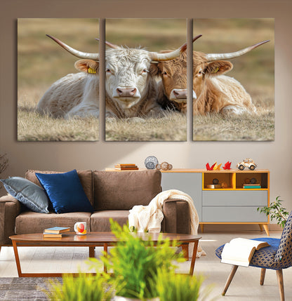Two cows laying closely in a dry grassy field, captured in soft light, perfect for rustic farmhouse or western style home decor.