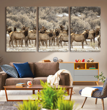 A large herd of elk standing in an open field with soft earthy tones, ideal for rustic lodge or western-themed home wall decor.