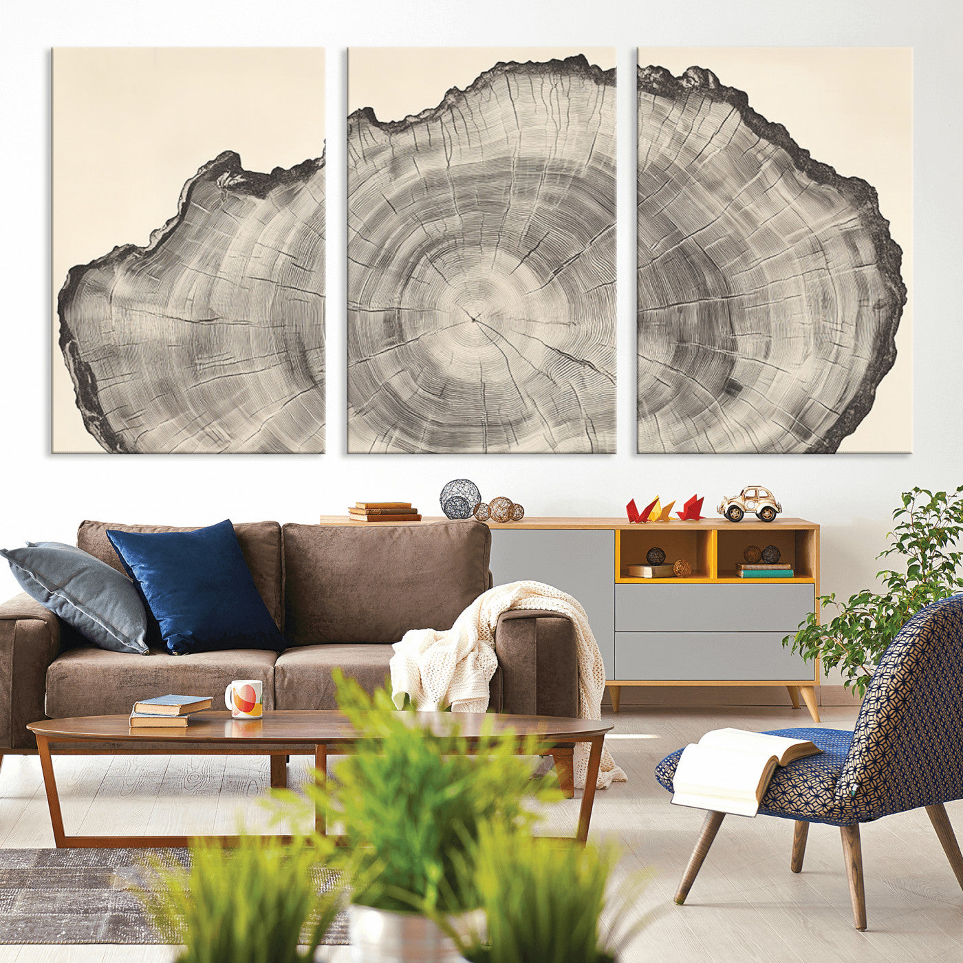 Detailed tree ring drawing in monochrome tones, ideal for rustic or nature-inspired interiors with a minimal decor aesthetic.