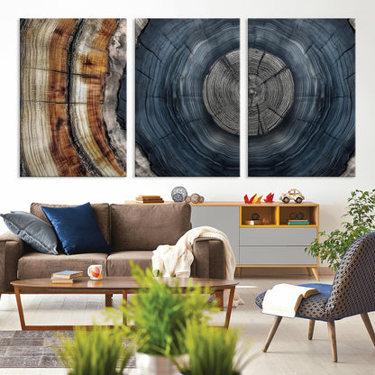 A stunning close-up of a tree trunk showing the intricate, circular growth rings, showcasing the natural textures and rich contrasts in deep blues, browns, and silvers.