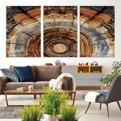 Canvas of tree rings and natural wood grain in earthy tones, ideal for rustic or vintage-inspired home decor with organic textures.