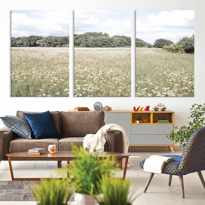 Soft-toned image of a wild daisy field under a cloudy sky, ideal for neutral or Scandinavian-inspired home decor.