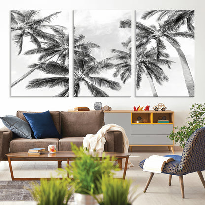 Black and white tropical palm trees viewed from below, swaying gently against a bright sky, creating a serene and elegant coastal atmosphere.
