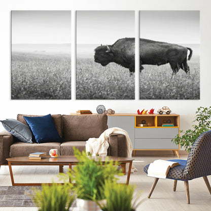 A black and white photograph of a majestic bison standing in a vast grassy prairie, evoking a sense of wilderness and strength.