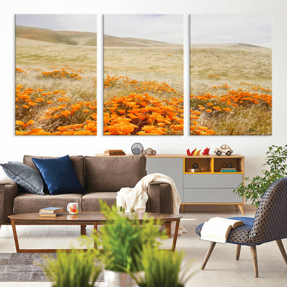 A golden field with vibrant orange poppies blooming across rolling hills under a soft, sunlit sky, creating a warm and rustic landscape.
