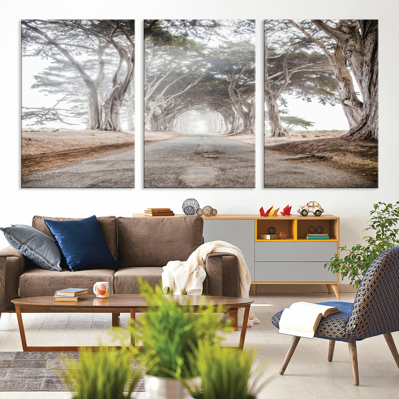 Canvas of a misty tree tunnel with arching cypress trees and an earthy road, ideal for rustic or coastal nature decor.