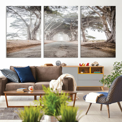 Canvas of a misty tree tunnel with arching cypress trees and an earthy road, ideal for rustic or coastal nature decor.