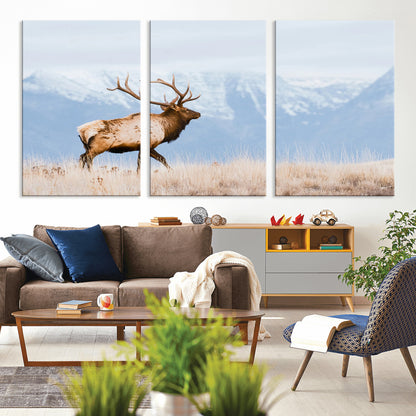 An elk walking on snowy grassland with majestic mountains in the background, ideal for rustic lodge or cabin wall decor.