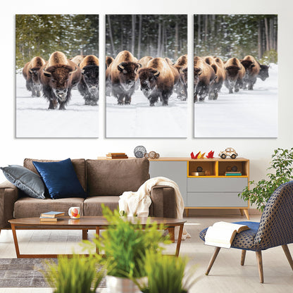 A herd of American bisons walking through a snowy forest path, perfect for rustic cabin or Western-themed wall decor.