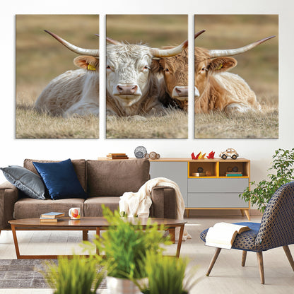 Two cows laying closely in a dry grassy field, captured in soft light, perfect for rustic farmhouse or western style home decor.