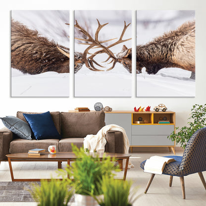 Two elk clashing antlers in a snowy forest, capturing raw power and wild energy, ideal for rustic cabin or lodge-style decor.