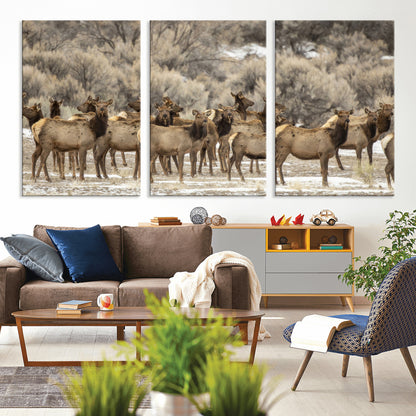 A large herd of elk standing in an open field with soft earthy tones, ideal for rustic lodge or western-themed home wall decor.