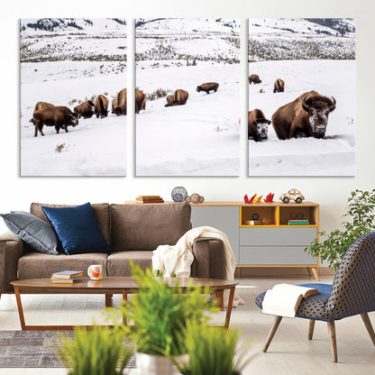 A herd of bison walking through deep snow in a mountain valley, perfect for rustic, cabin or western-themed wall decor.