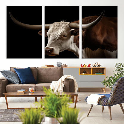 "Close-up of a brown and white longhorn cow with prominent curved horns against a black background."